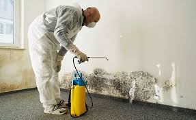 Best Biohazard Mold Removal  in Vienna, GA