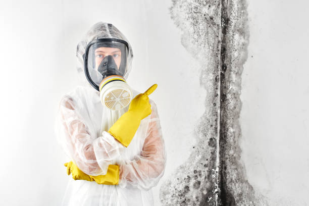 Mold Removal for HVAC Installations in Vienna, GA